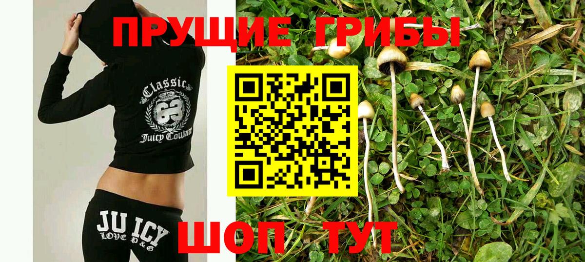 Галлюциногенные грибы прущие грибы Южно-Сахалинск